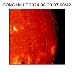 gong - 2024-08-29T07:00:42