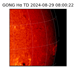 gong - 2024-08-29T08:00:22