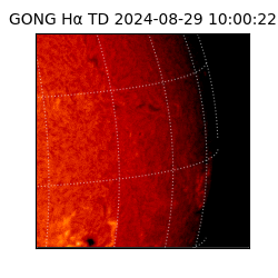 gong - 2024-08-29T10:00:22