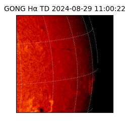 gong - 2024-08-29T11:00:22