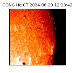 gong - 2024-08-29T12:18:42