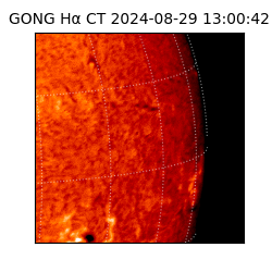 gong - 2024-08-29T13:00:42