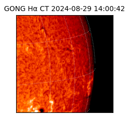 gong - 2024-08-29T14:00:42