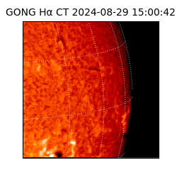 gong - 2024-08-29T15:00:42