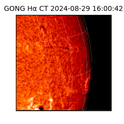 gong - 2024-08-29T16:00:42