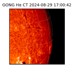 gong - 2024-08-29T17:00:42