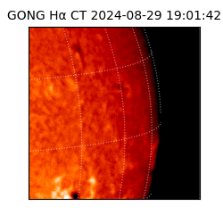 gong - 2024-08-29T19:01:42