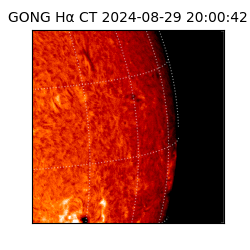 gong - 2024-08-29T20:00:42