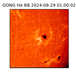 gong - 2024-08-29T01:00:02