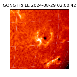 gong - 2024-08-29T02:00:42