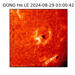 gong - 2024-08-29T03:00:42