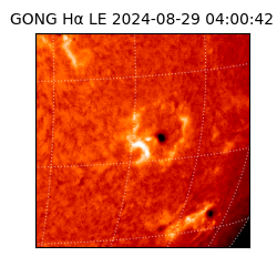 gong - 2024-08-29T04:00:42