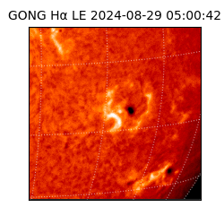 gong - 2024-08-29T05:00:42