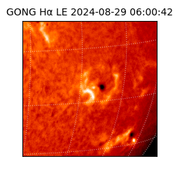 gong - 2024-08-29T06:00:42