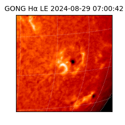 gong - 2024-08-29T07:00:42