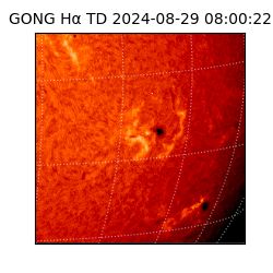 gong - 2024-08-29T08:00:22