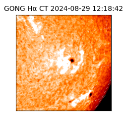 gong - 2024-08-29T12:18:42