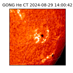 gong - 2024-08-29T14:00:42