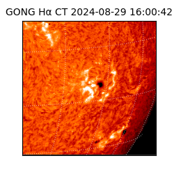 gong - 2024-08-29T16:00:42