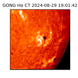 gong - 2024-08-29T19:01:42