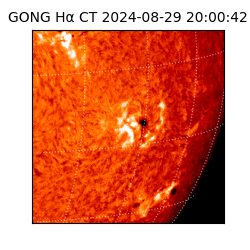 gong - 2024-08-29T20:00:42