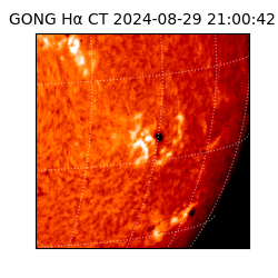 gong - 2024-08-29T21:00:42