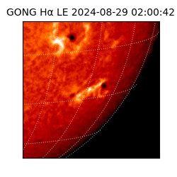 gong - 2024-08-29T02:00:42