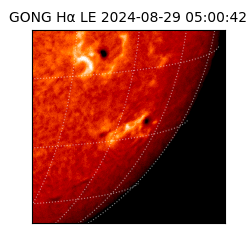 gong - 2024-08-29T05:00:42