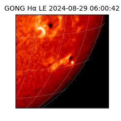 gong - 2024-08-29T06:00:42