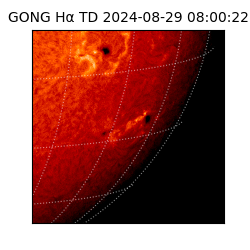 gong - 2024-08-29T08:00:22