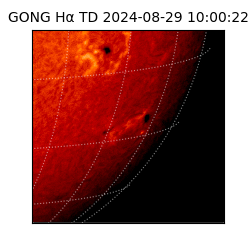 gong - 2024-08-29T10:00:22