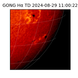 gong - 2024-08-29T11:00:22