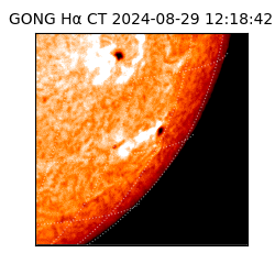 gong - 2024-08-29T12:18:42