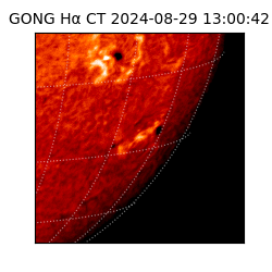 gong - 2024-08-29T13:00:42