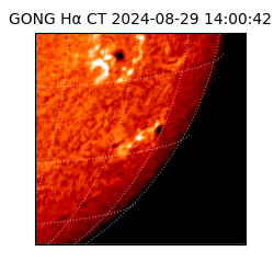 gong - 2024-08-29T14:00:42