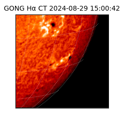 gong - 2024-08-29T15:00:42