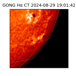 gong - 2024-08-29T19:01:42