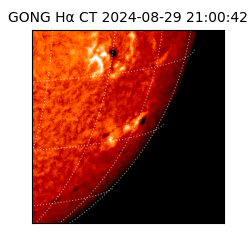 gong - 2024-08-29T21:00:42