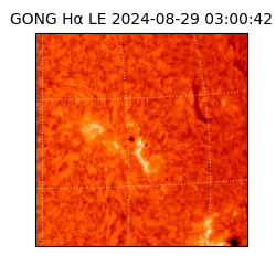 gong - 2024-08-29T03:00:42