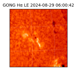 gong - 2024-08-29T06:00:42