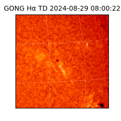 gong - 2024-08-29T08:00:22