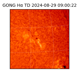 gong - 2024-08-29T09:00:22