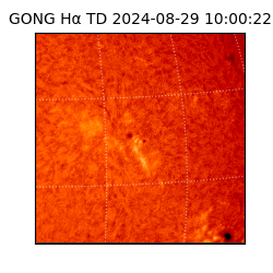 gong - 2024-08-29T10:00:22