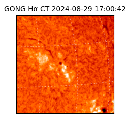 gong - 2024-08-29T17:00:42