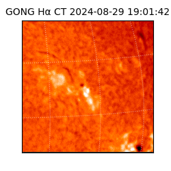 gong - 2024-08-29T19:01:42