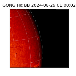 gong - 2024-08-29T01:00:02