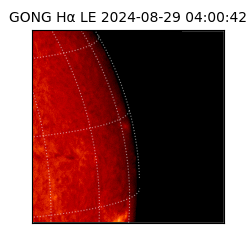 gong - 2024-08-29T04:00:42