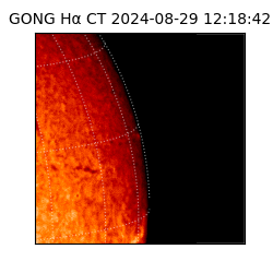 gong - 2024-08-29T12:18:42