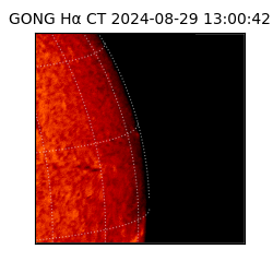 gong - 2024-08-29T13:00:42