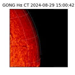 gong - 2024-08-29T15:00:42